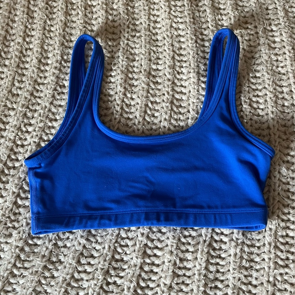 Aritzia Blue Bra